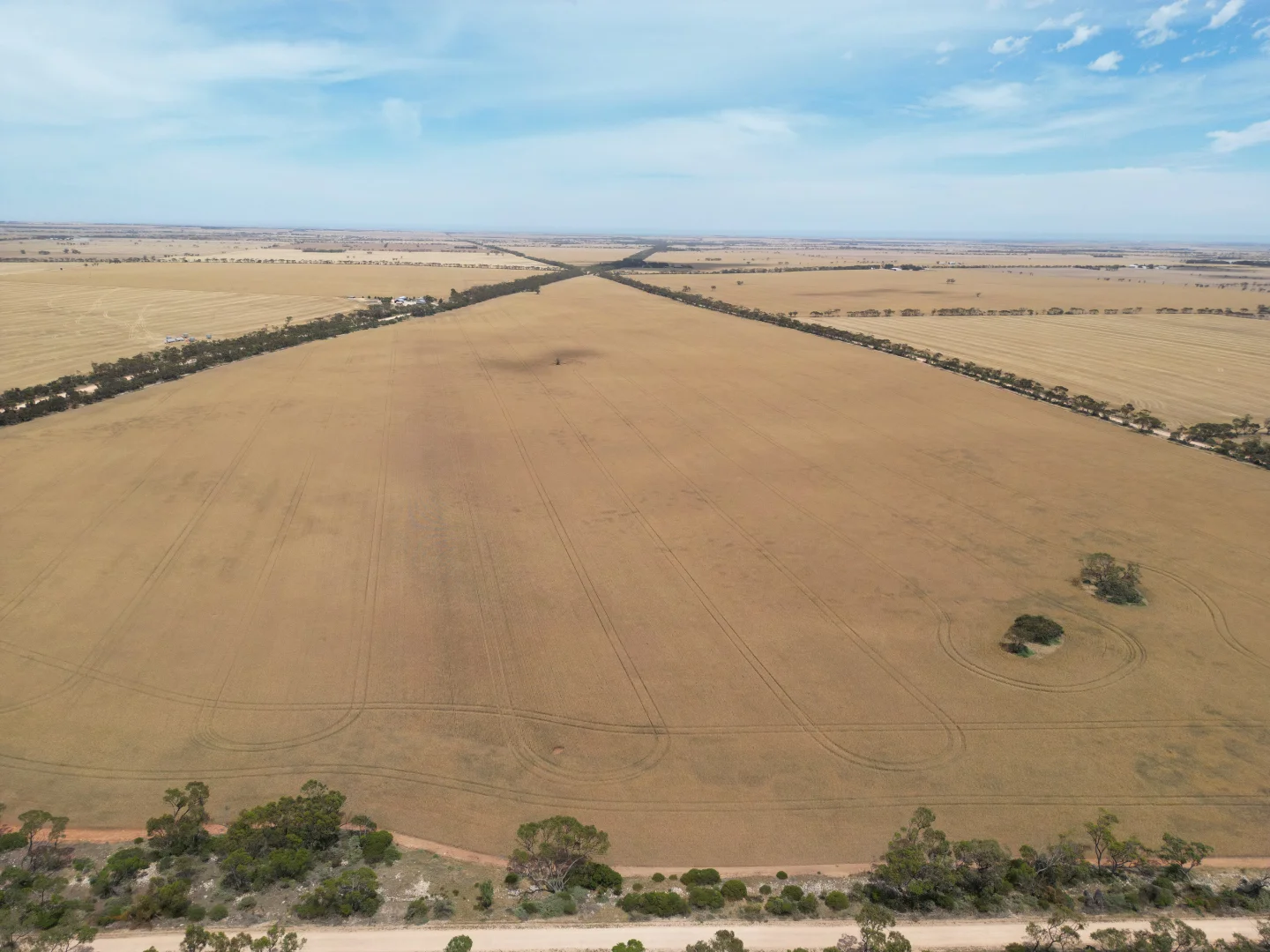 Additional image 5 of S500 Bussenschutt Road, Cunliffe SA 5554