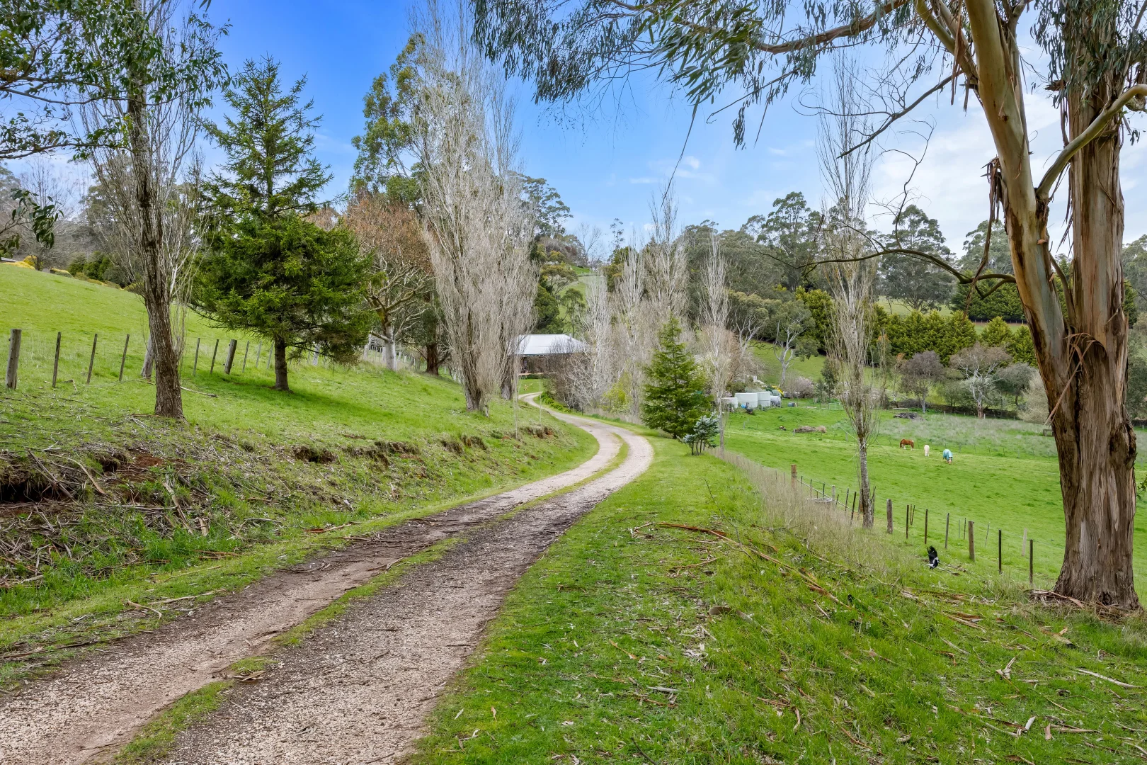 Additional image 27 of 186 Mount Buninyong Road, Buninyong VIC 3357