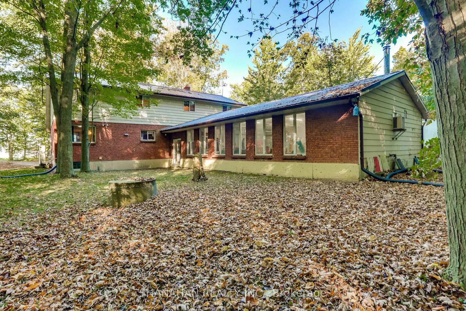 Additional image 18 of 4690 Forest Road