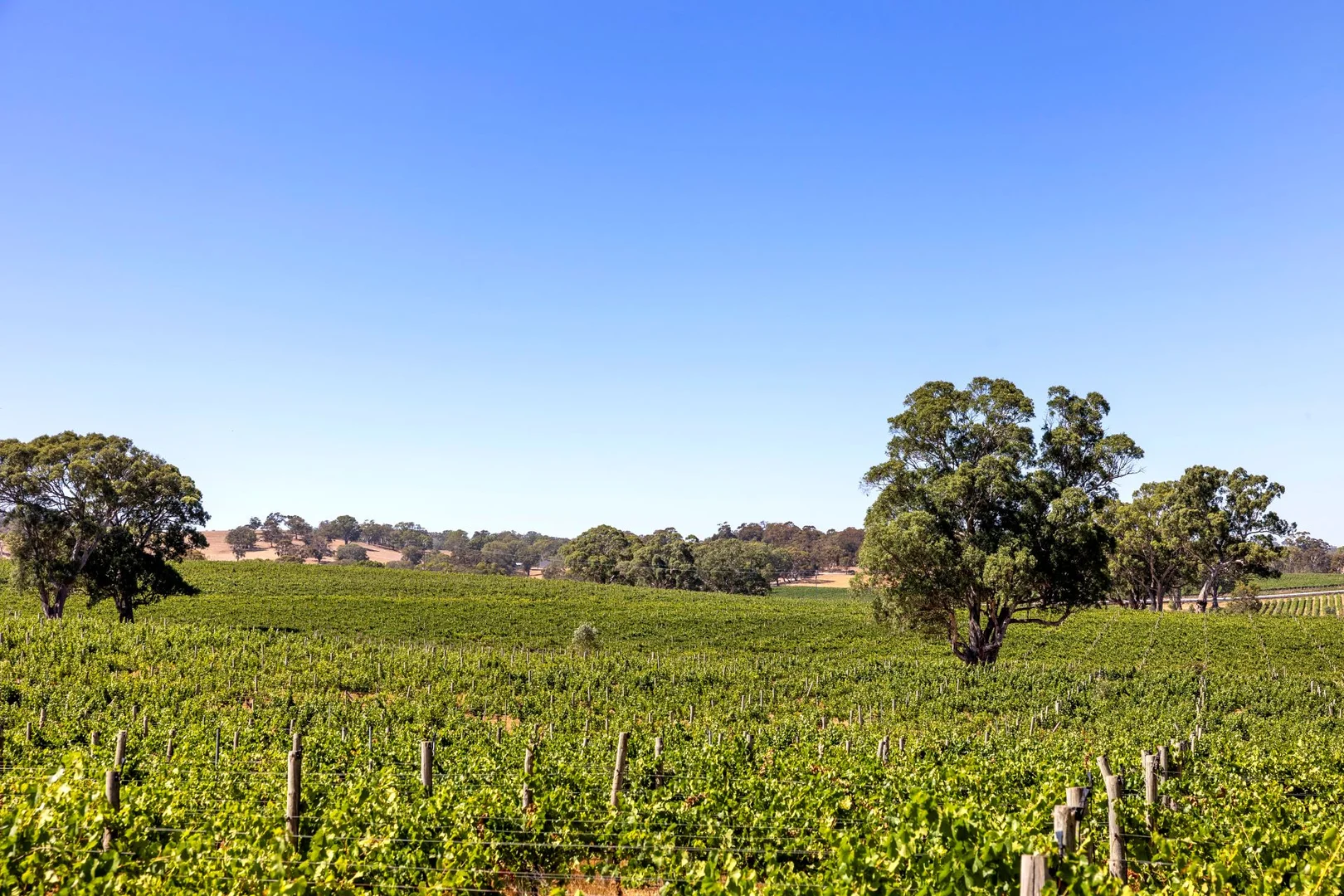 Additional image 6 of 1282 Torrens Valley Road, Birdwood SA 5234