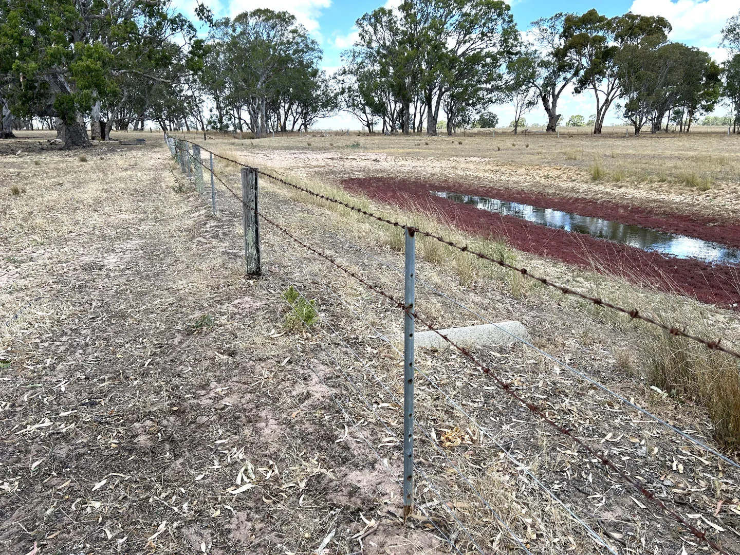 Additional image 6 of 1287 Charam-wombelano Road, Charam VIC 3318