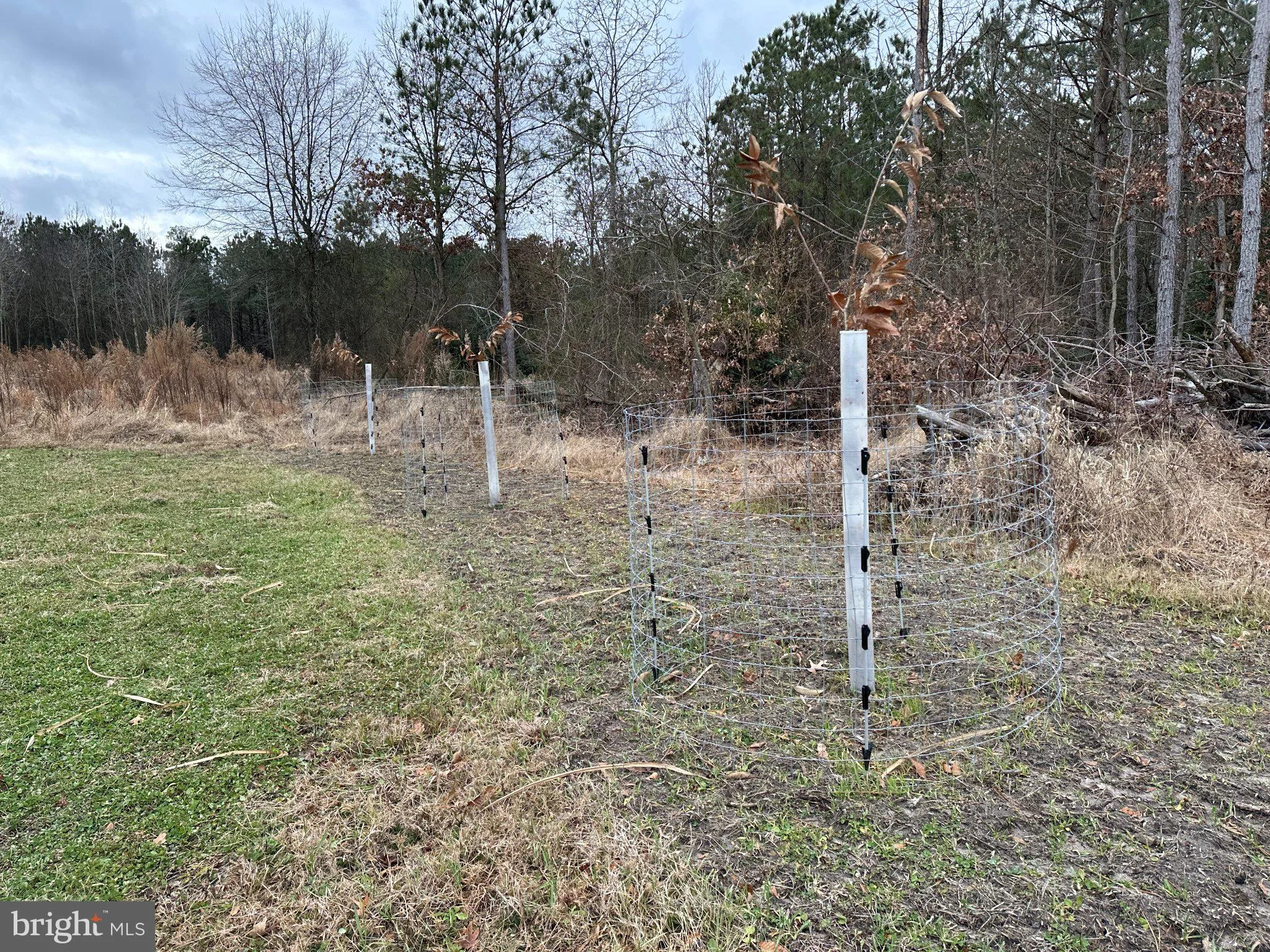 Additional image 16 of Owens Road, Greenwood, DE 19950