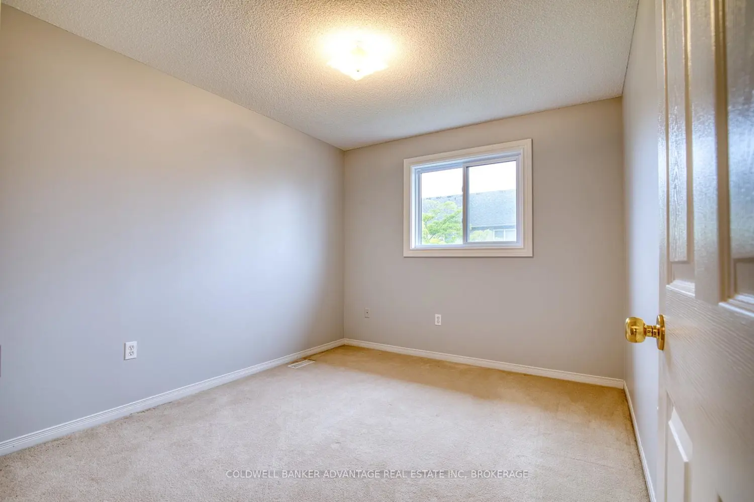 Additional image 12 of 800 Paramount Drive 2