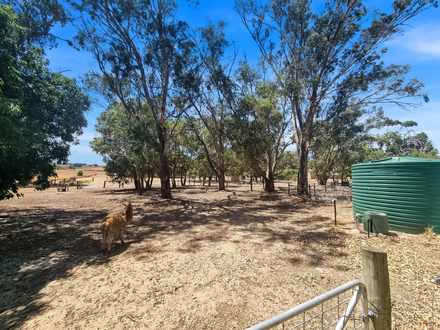 Additional image 7 of 3450 Dandaragan Road, Dandaragan WA 6507