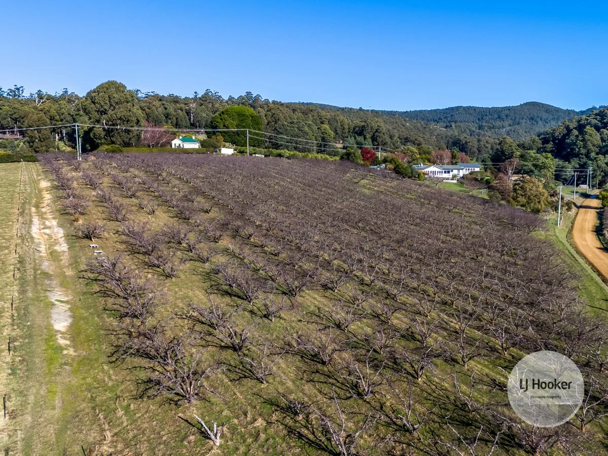 Additional image 10 of 59 Cripps Road, Woodbridge TAS 7162