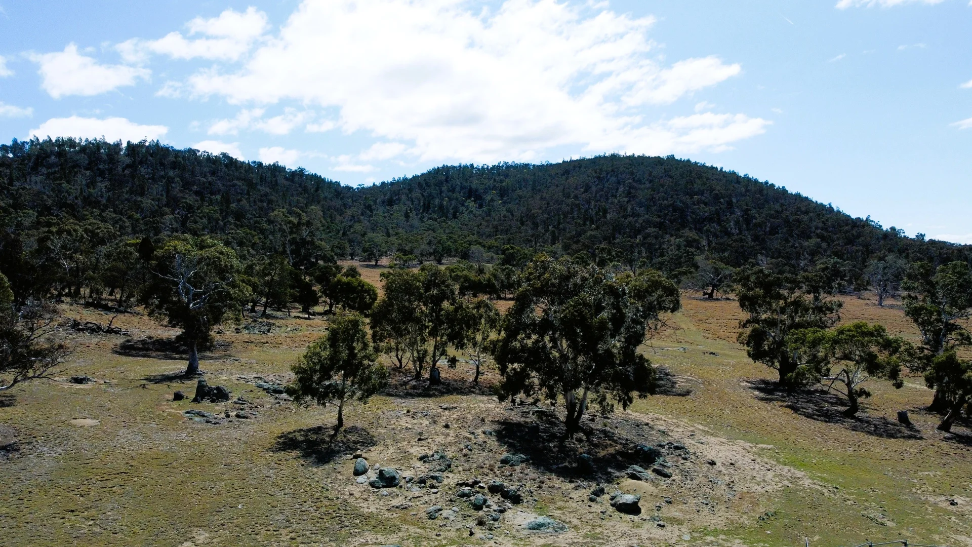 Additional image 24 of 49 Greystone Road, Binjura NSW 2630