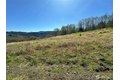 Additional image 11 of Elk Ridge Rd Lot 7, Mossyrock, WA, 98564
