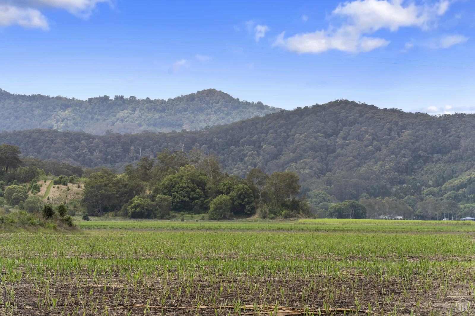 Additional image 6 of 193 Dulguigan Road, Dulguigan NSW 2484