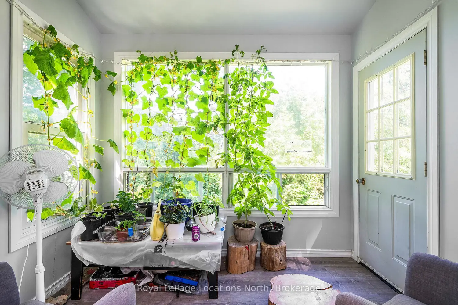 Additional image 7 of 138237 Grey Road 112