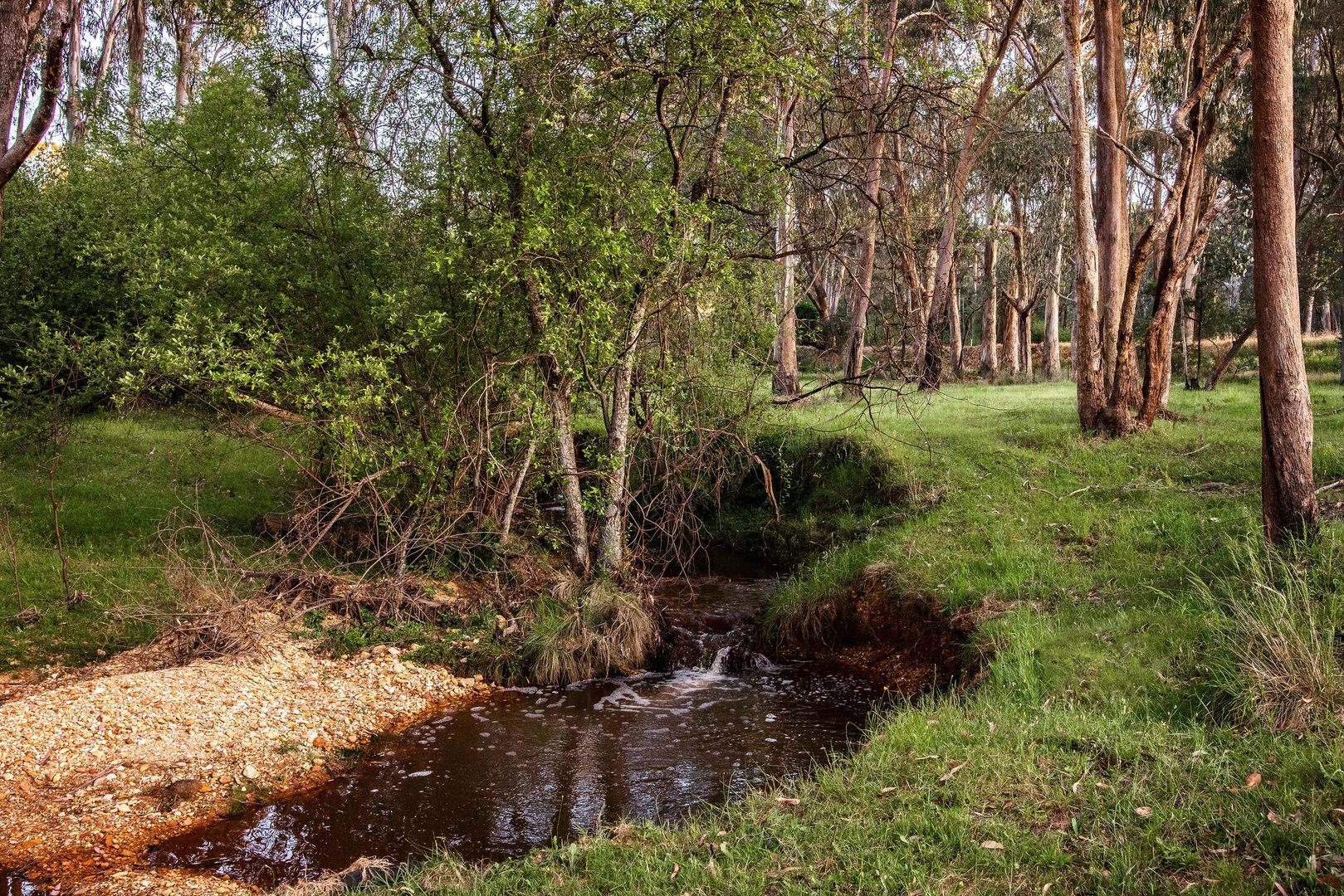 Additional image 22 of 205 Stanley Road, Beechworth VIC 3747
