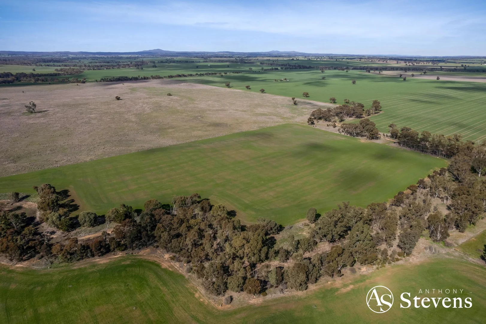 Additional image 40 of 499 Old Wedderburn Road, Slaty Creek VIC 3477