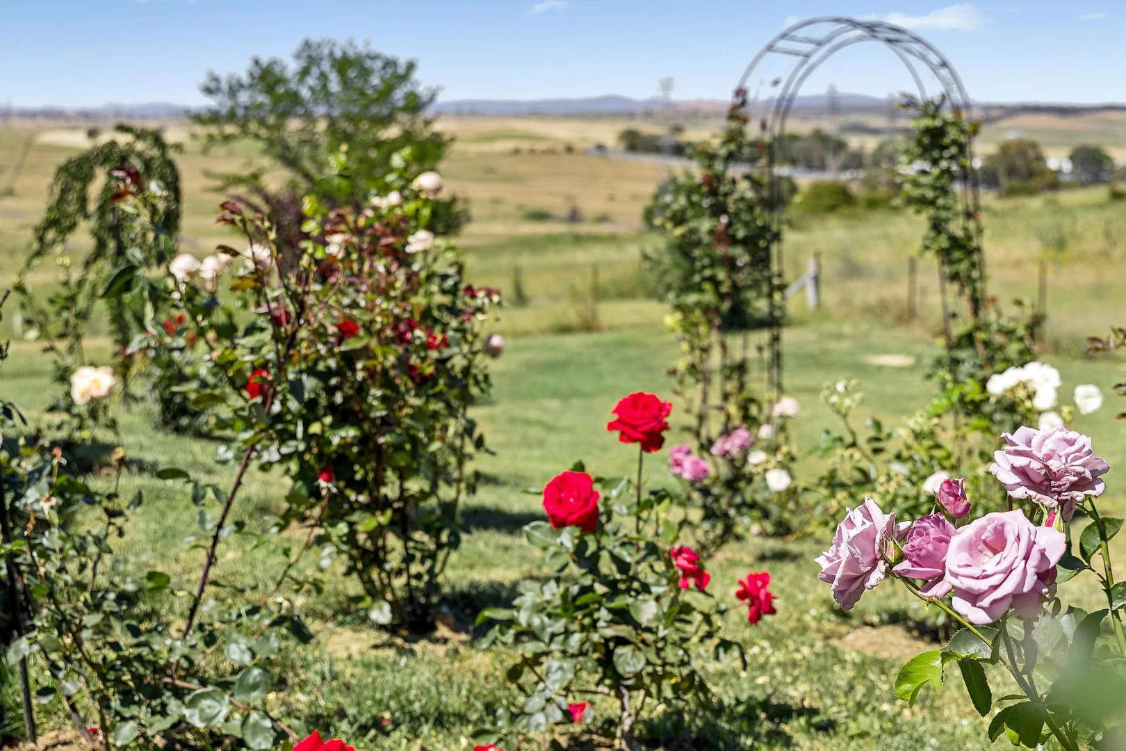 Additional image 22 of 1c Perry Street, Yass NSW 2582