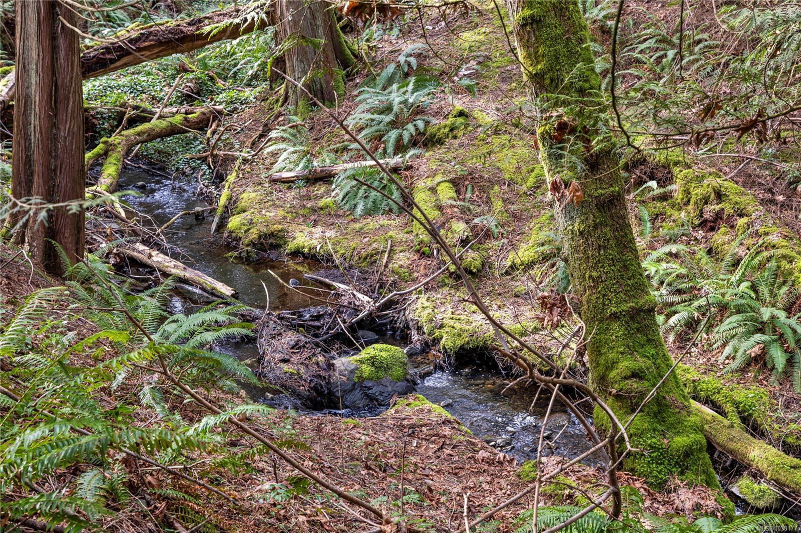 Additional image 3 of 795 Southland Way, Nanaimo, BC, V9R 6P4