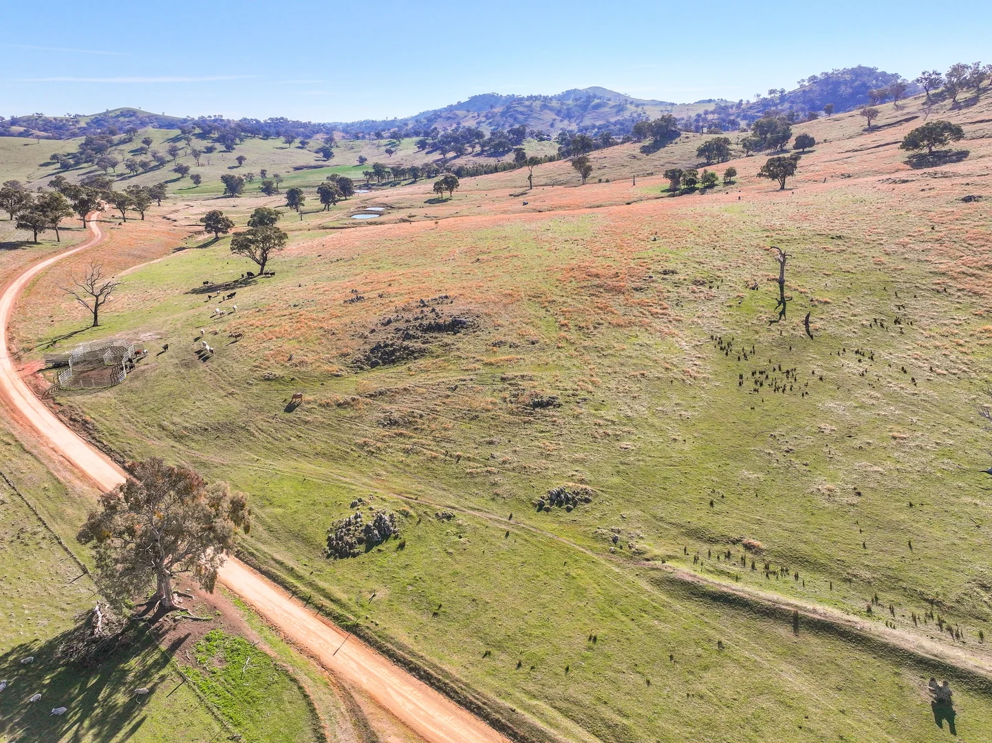 Additional image 10 of 444 Hoares Lane, Muttama NSW 2722