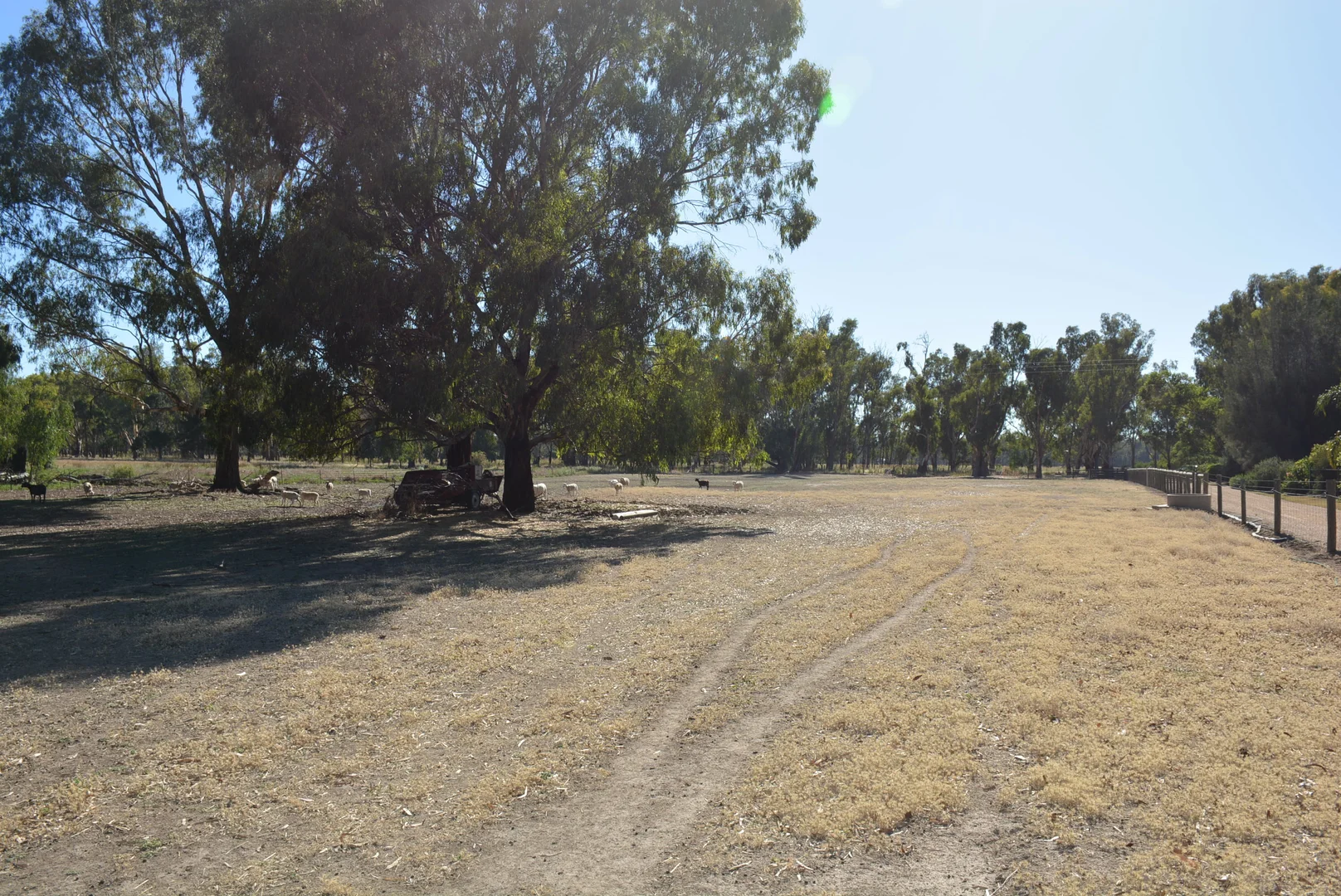 Additional image 18 of 52 Sheehan Rd, Koonoomoo VIC 3644