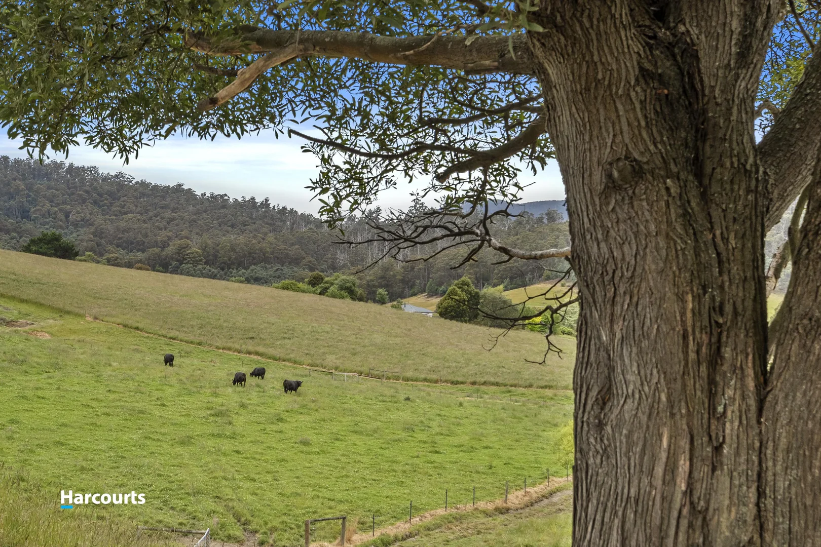 Additional image 8 of 40 Connors Road, Cygnet TAS 7112