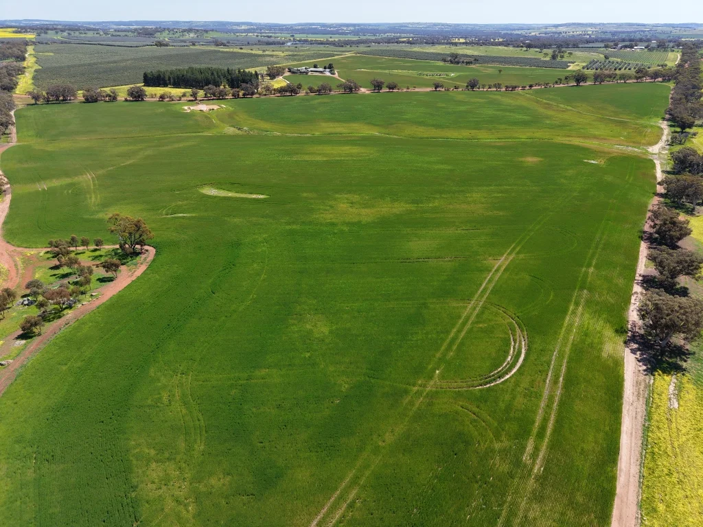 Additional image 9 of 1187 Dale - Kokeby Road, Kokeby WA 6304