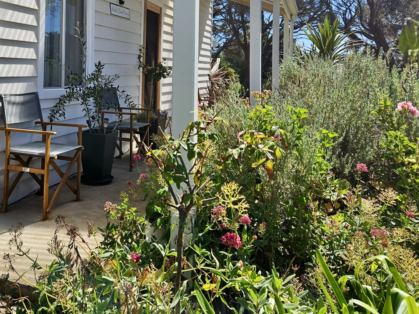 Additional image 9 of 1 Arthur Street, Beachport SA 5280