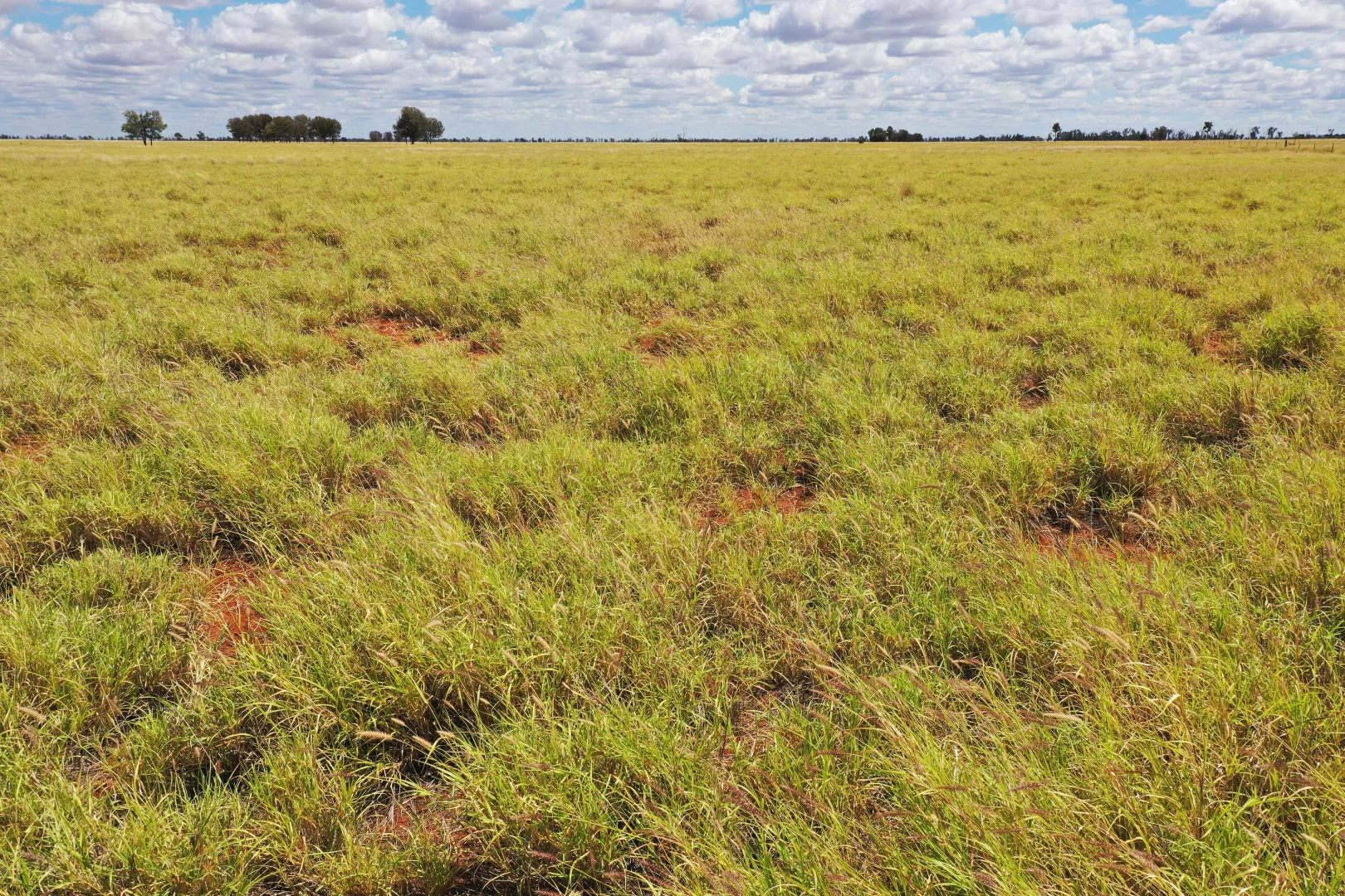 Additional image 9 of 13724 Mitchell - St George Rd, St George QLD 4487