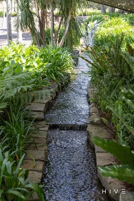 Additional image 32 of 12 Clearwater Terrace, Mossy Point NSW 2537