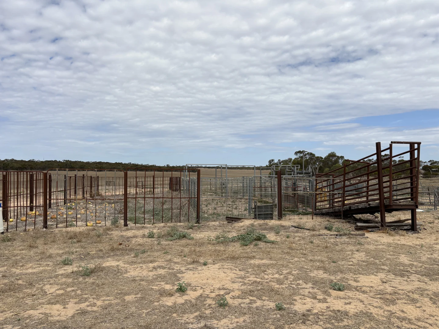 Additional image 17 of 9723 Tod Highway, Lock SA 5633