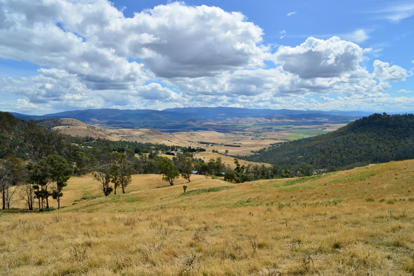 Additional image 3 of 17 Garth Lane, Black Hills TAS 7140