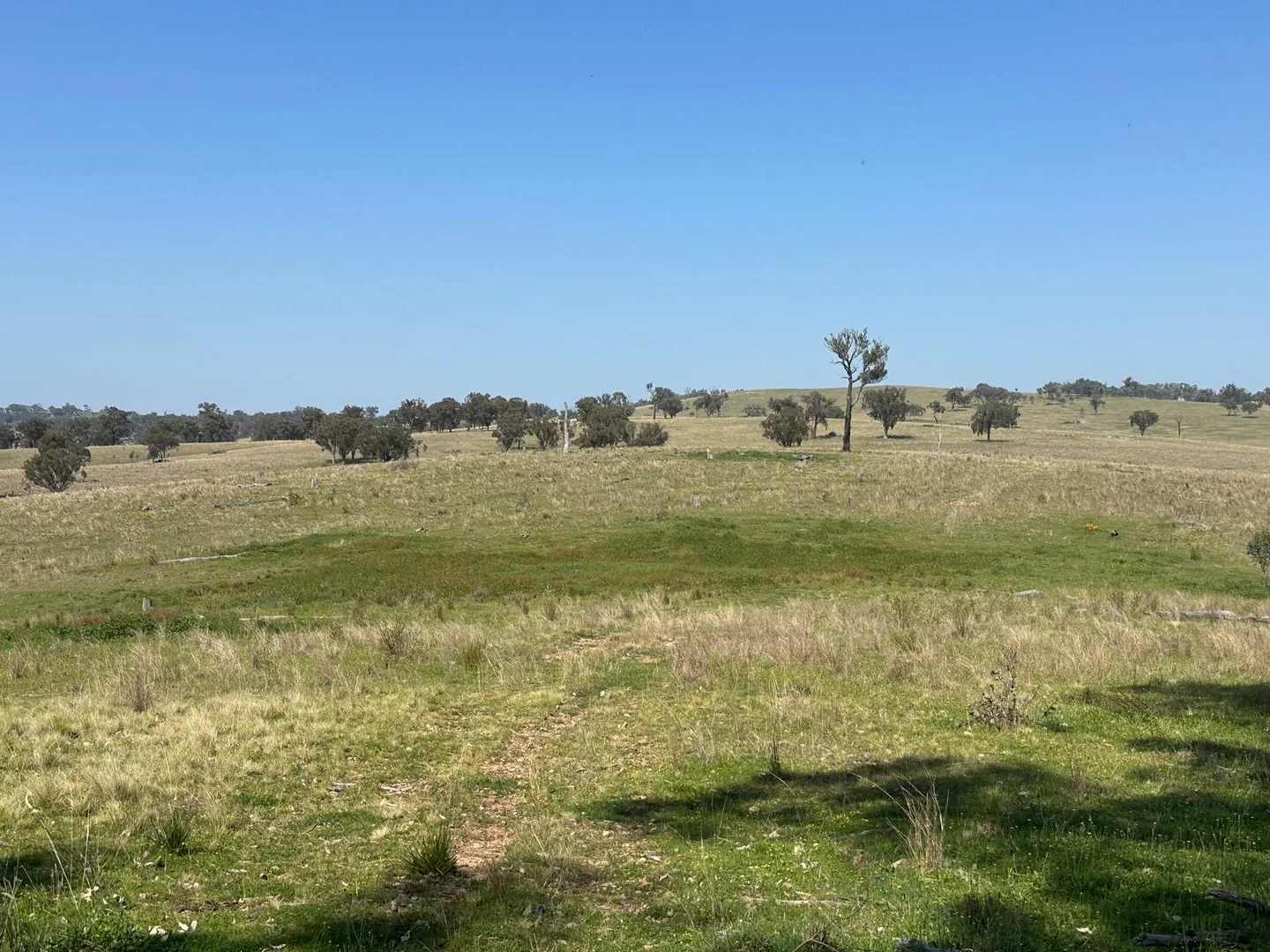 Additional image 7 of "Coolendoon" 810 The Pocket Road, Bukkulla NSW 2360