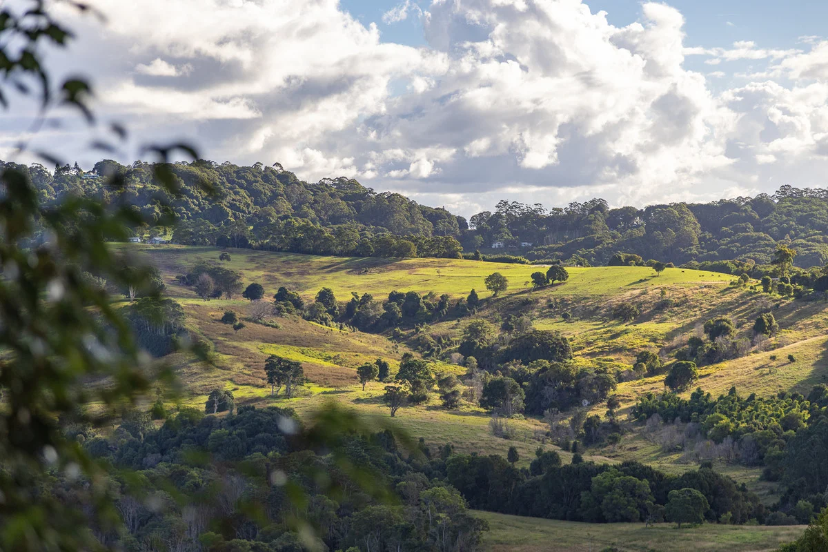Additional image 8 of 400 Coorabell Road, Coorabell NSW 2479