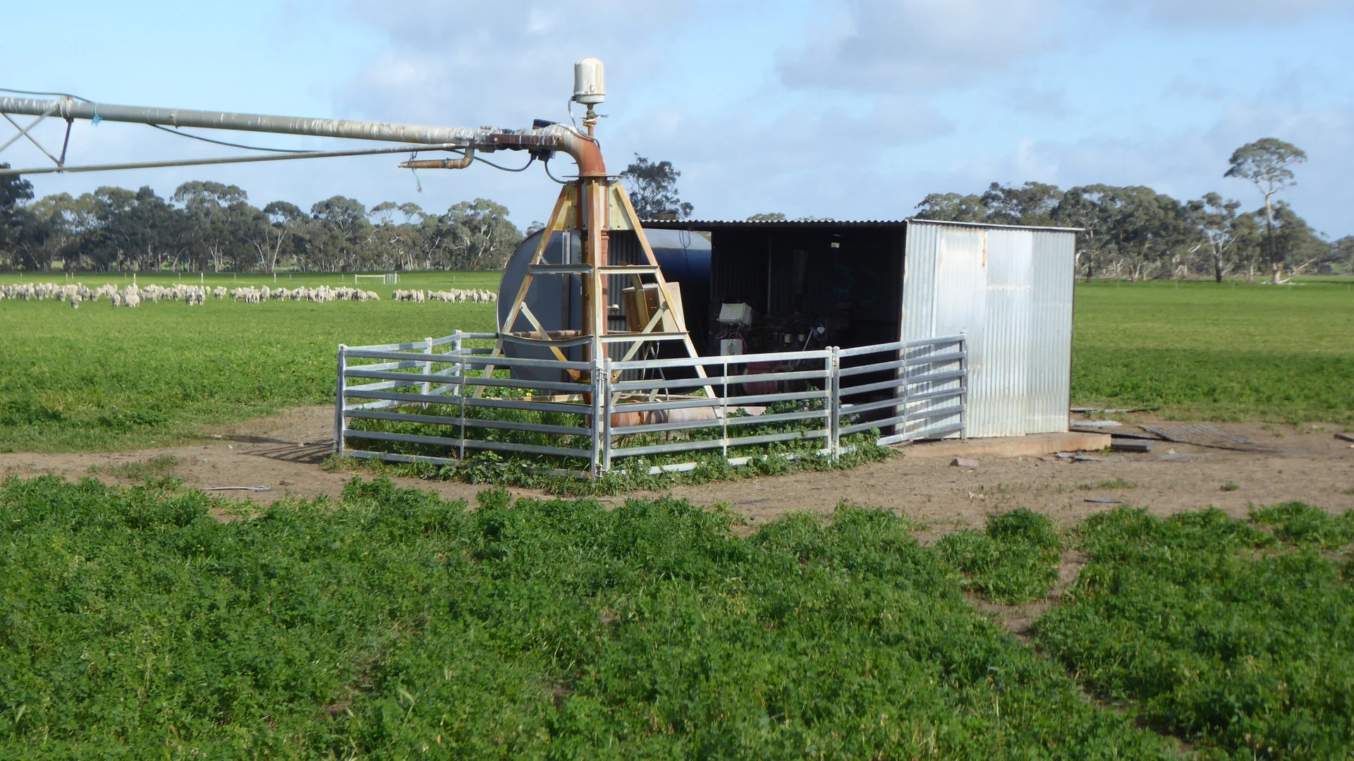 Additional image 25 of "Wyruna" 2989 Naracoorte Road, Western Flat SA 5268