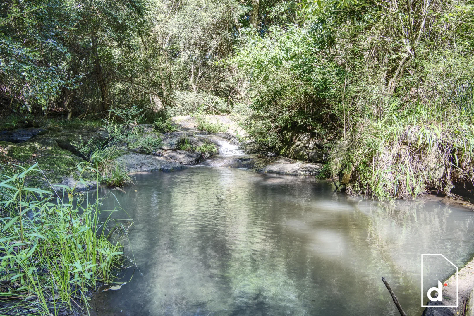 Additional image 9 of 136 Wender Road, Collins Creek NSW 2474