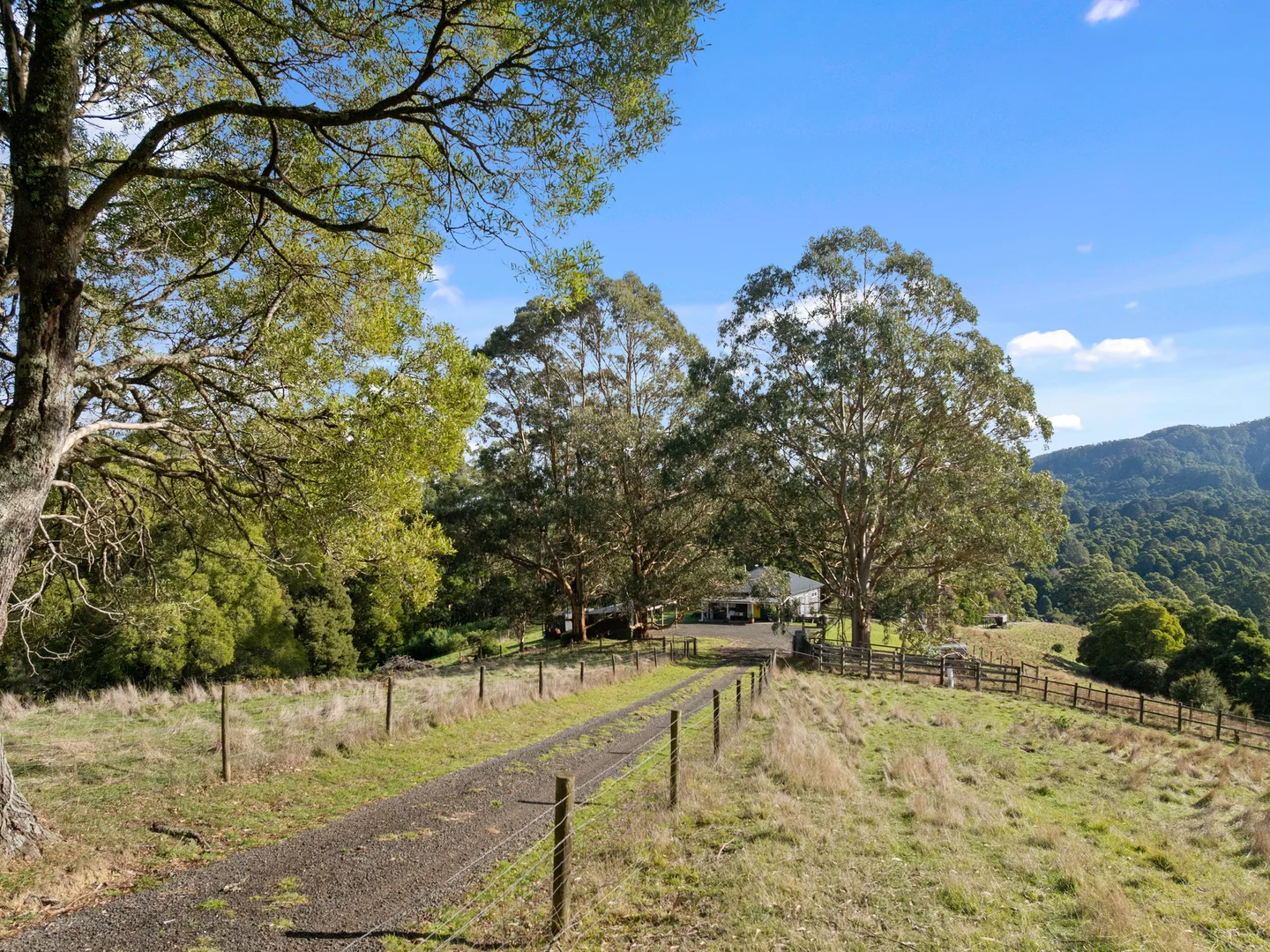Additional image 5 of 205 Mt Best Tin Mine Road, Toora North VIC 3962