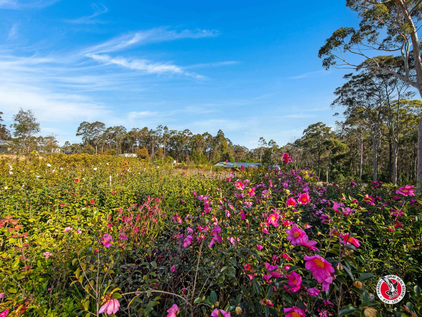 Additional image 9 of 60 Broulee Road, Broulee NSW 2537