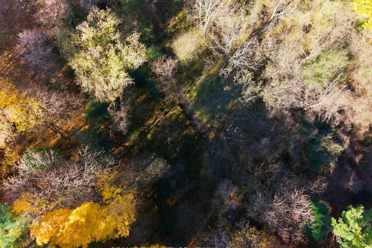 Additional image 17 of 24 River Road