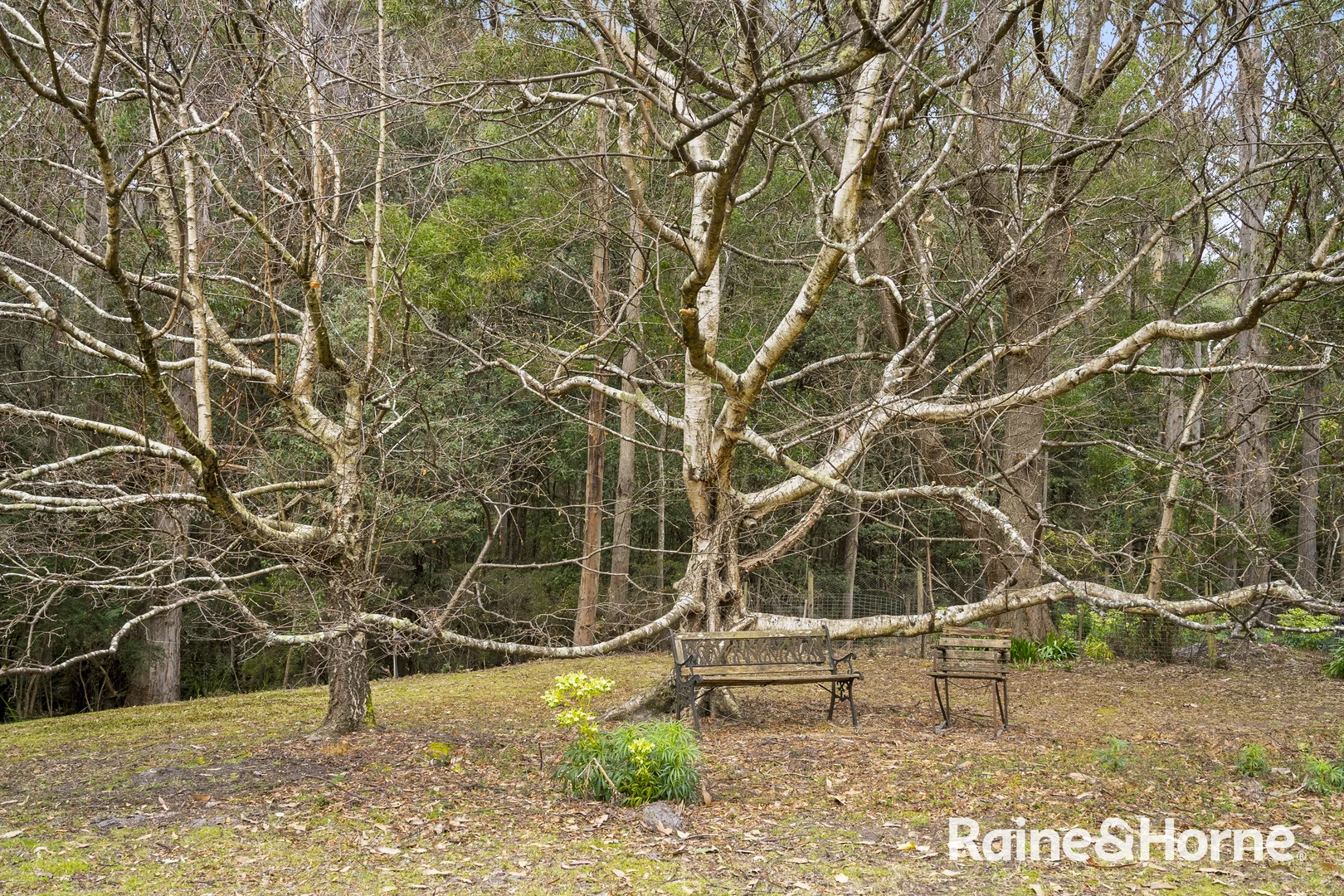 Additional image 28 of 2395 Nubeena Road, Port Arthur TAS 7182