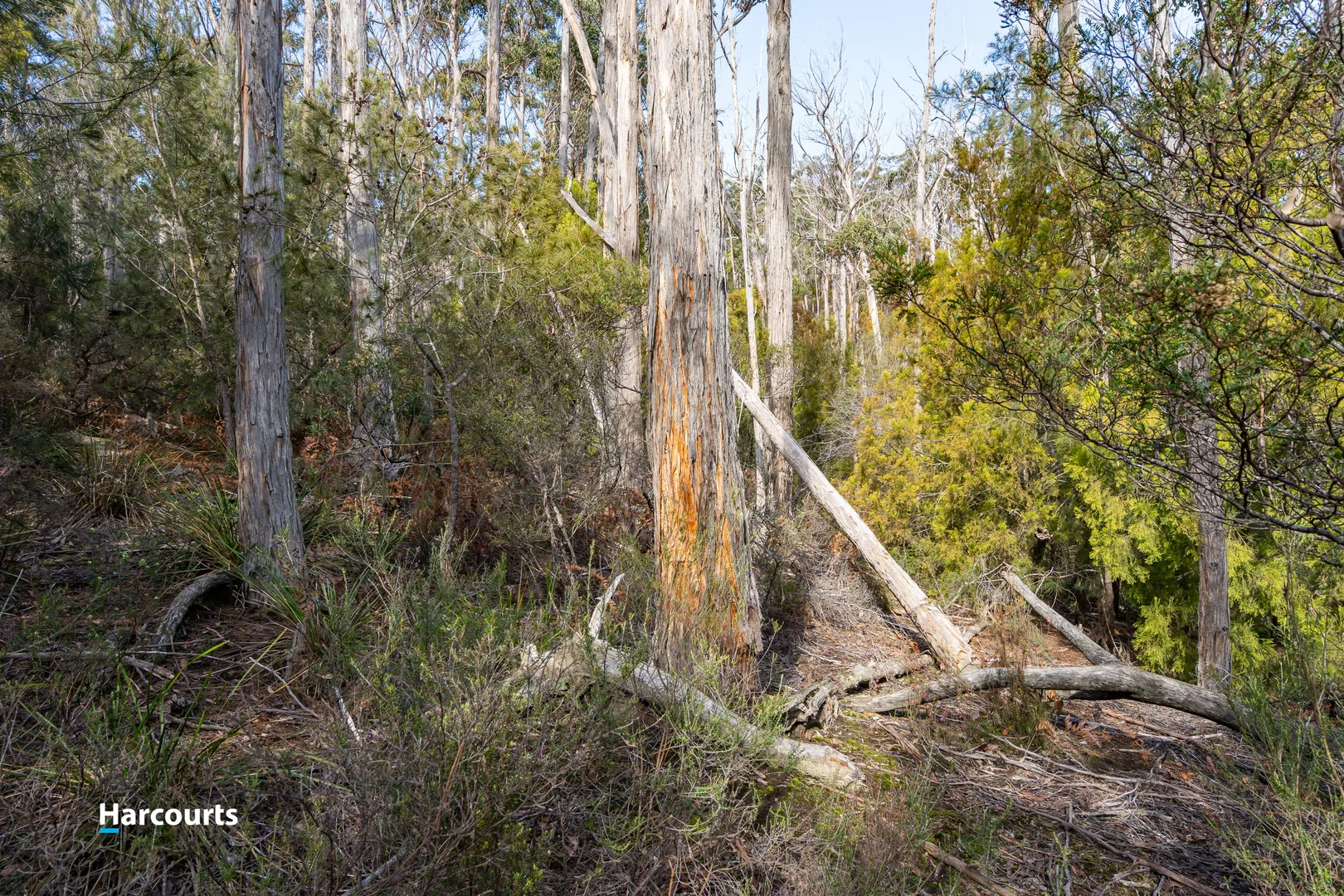 Additional image 8 of 44 Klasen Road, Police Point TAS 7116