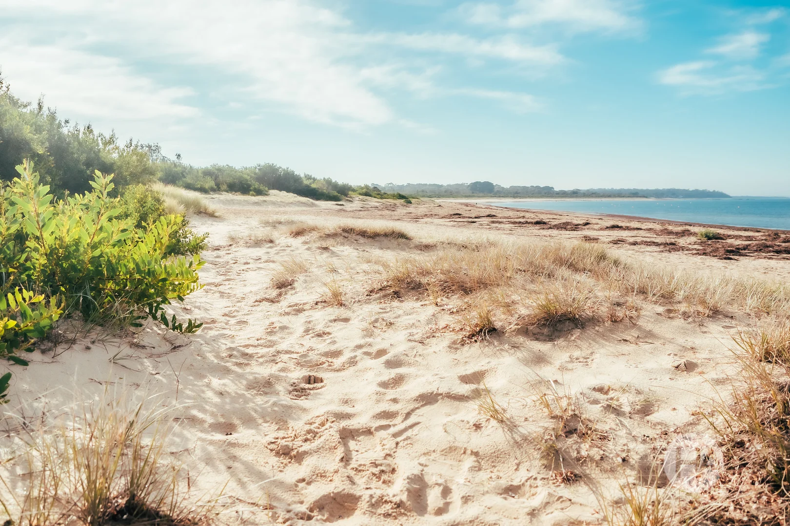 Additional image 5 of 36 Buckley Street, Balnarring VIC 3926