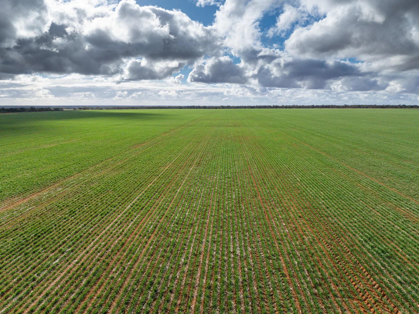 Additional image 5 of 2423 Petro Mail Road, Arumpo NSW 2715