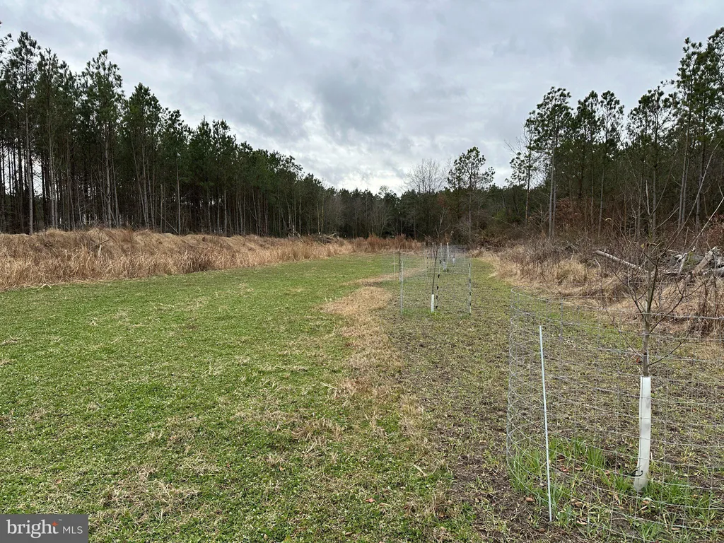 Additional image 4 of Owens Road, Greenwood, DE 19950