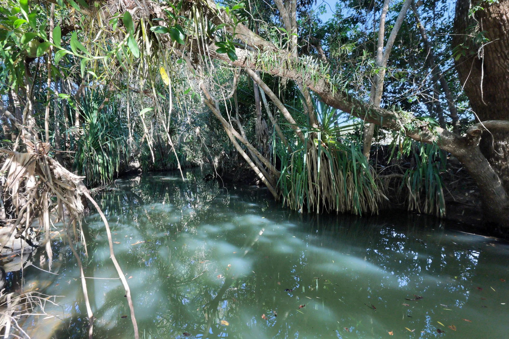 Additional image 5 of Lot 21 241 Wintons Road, Yalboroo QLD 4741