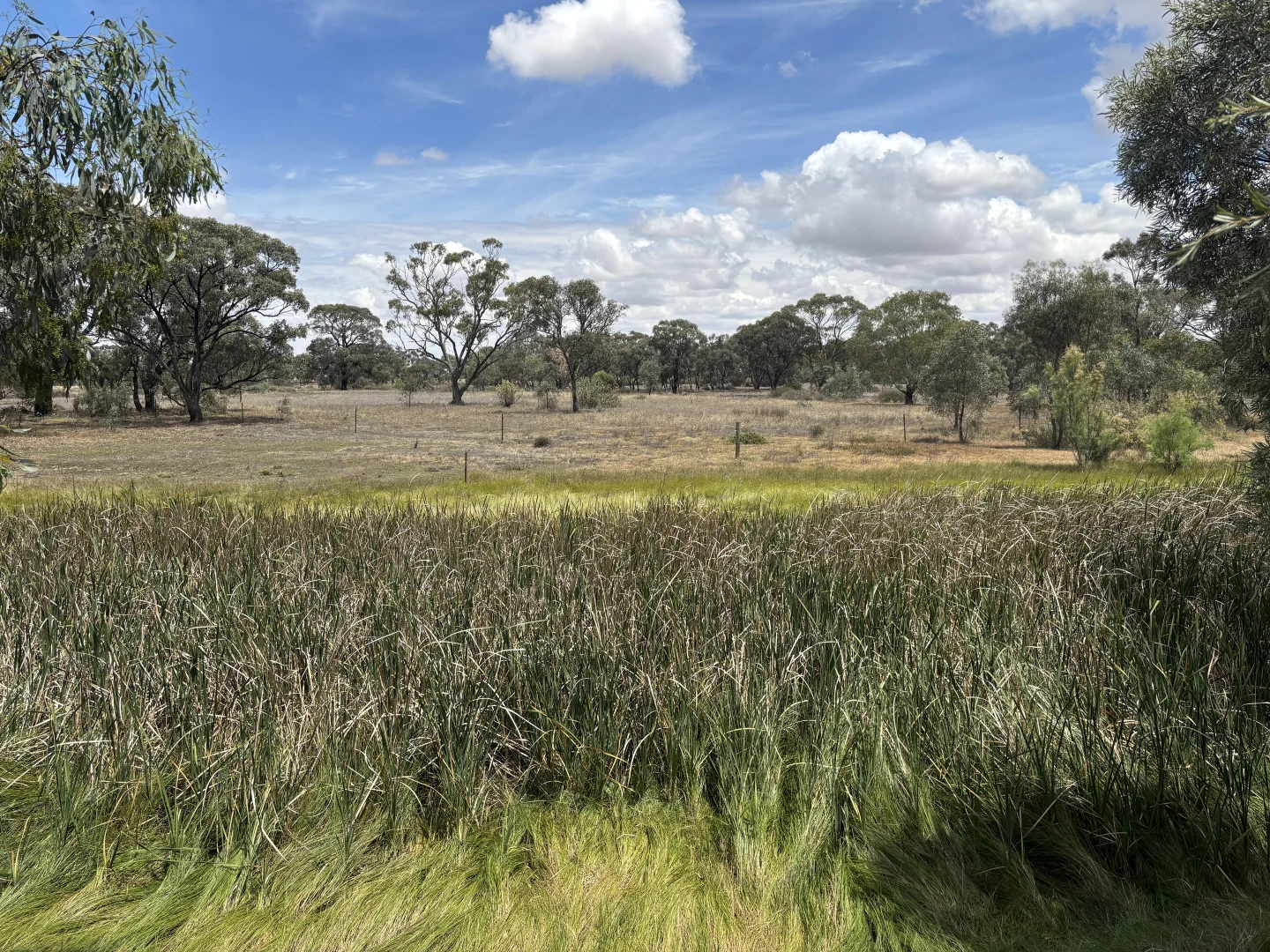 Additional image 13 of SOUTH STREET, Donald VIC 3480