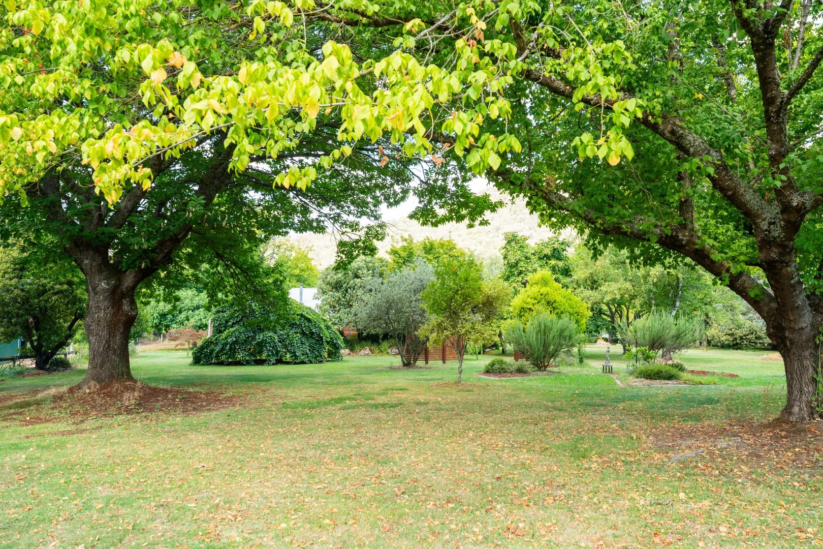 Additional image 6 of 217a Simmonds Creek Road, Tawonga South VIC 3698