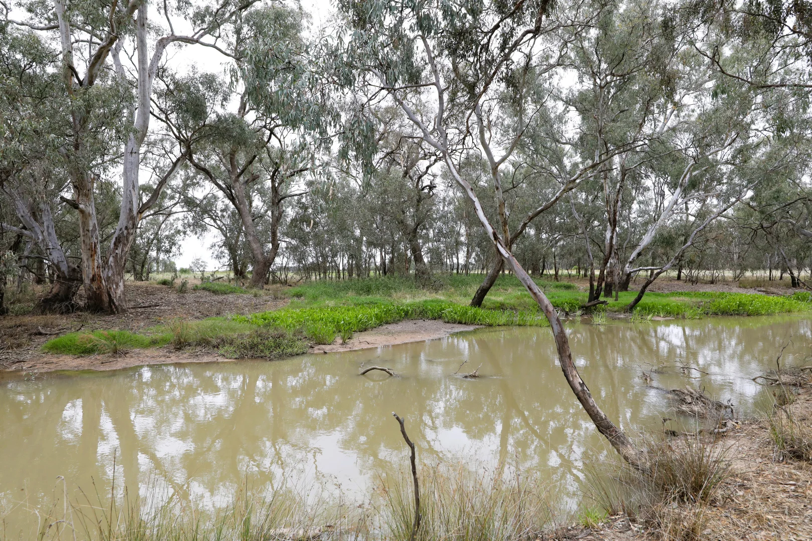 Additional image 2 of 83 Gribben Road, Invergordon VIC 3636