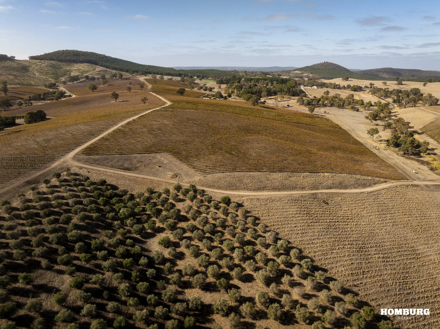 Additional image 4 of 453 Springton Road, Pewsey Vale SA 5351