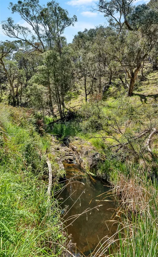 Additional image 21 of 231 Gisborne-Melton Road, Toolern Vale VIC 3337