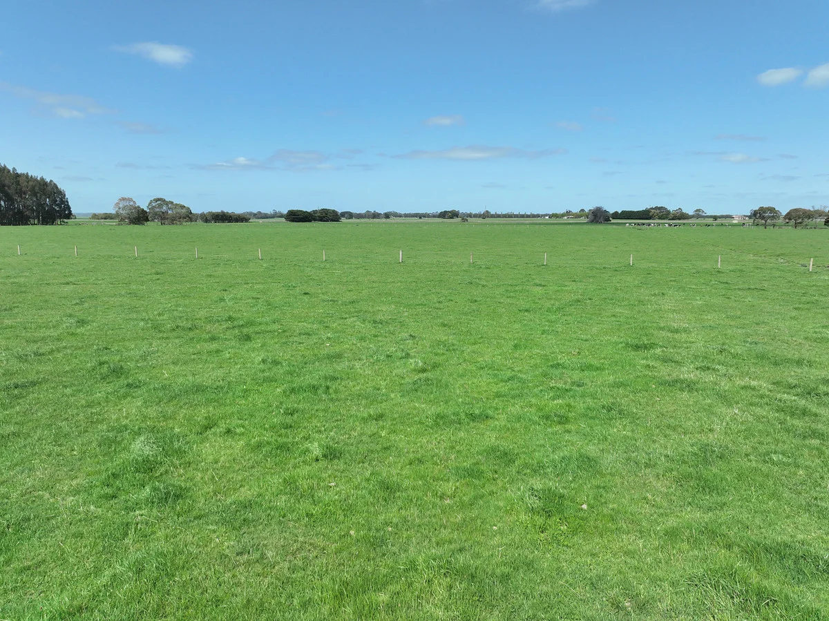 Additional image 10 of 260 Swan Marsh-Stonyford Road, Pirron Yallock VIC 3249