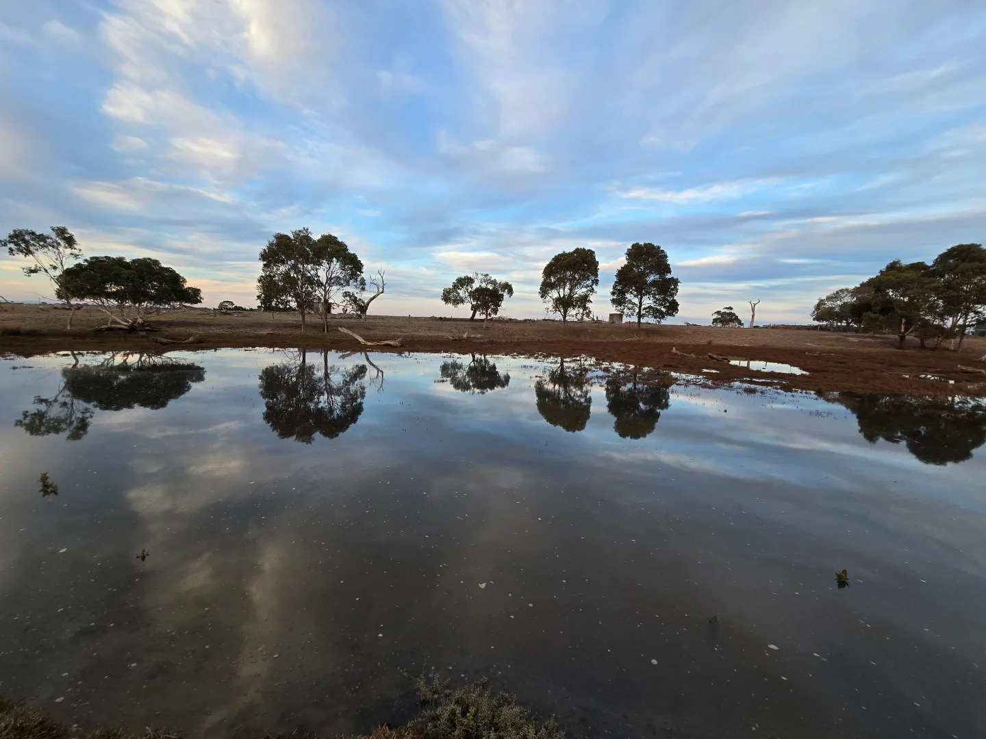 Additional image 33 of 111 CRAIGS LANE, Pearcedale VIC 3912