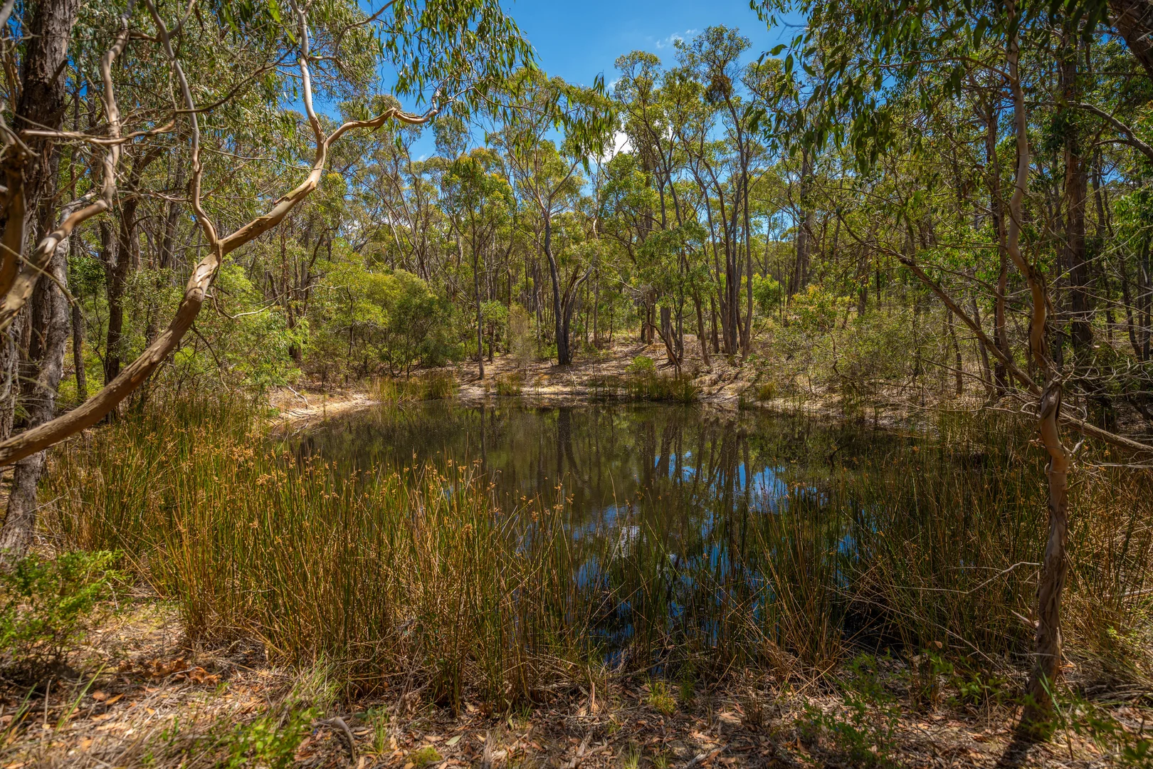 Additional image 11 of 30 Woodland Drive, Scarsdale VIC 3351