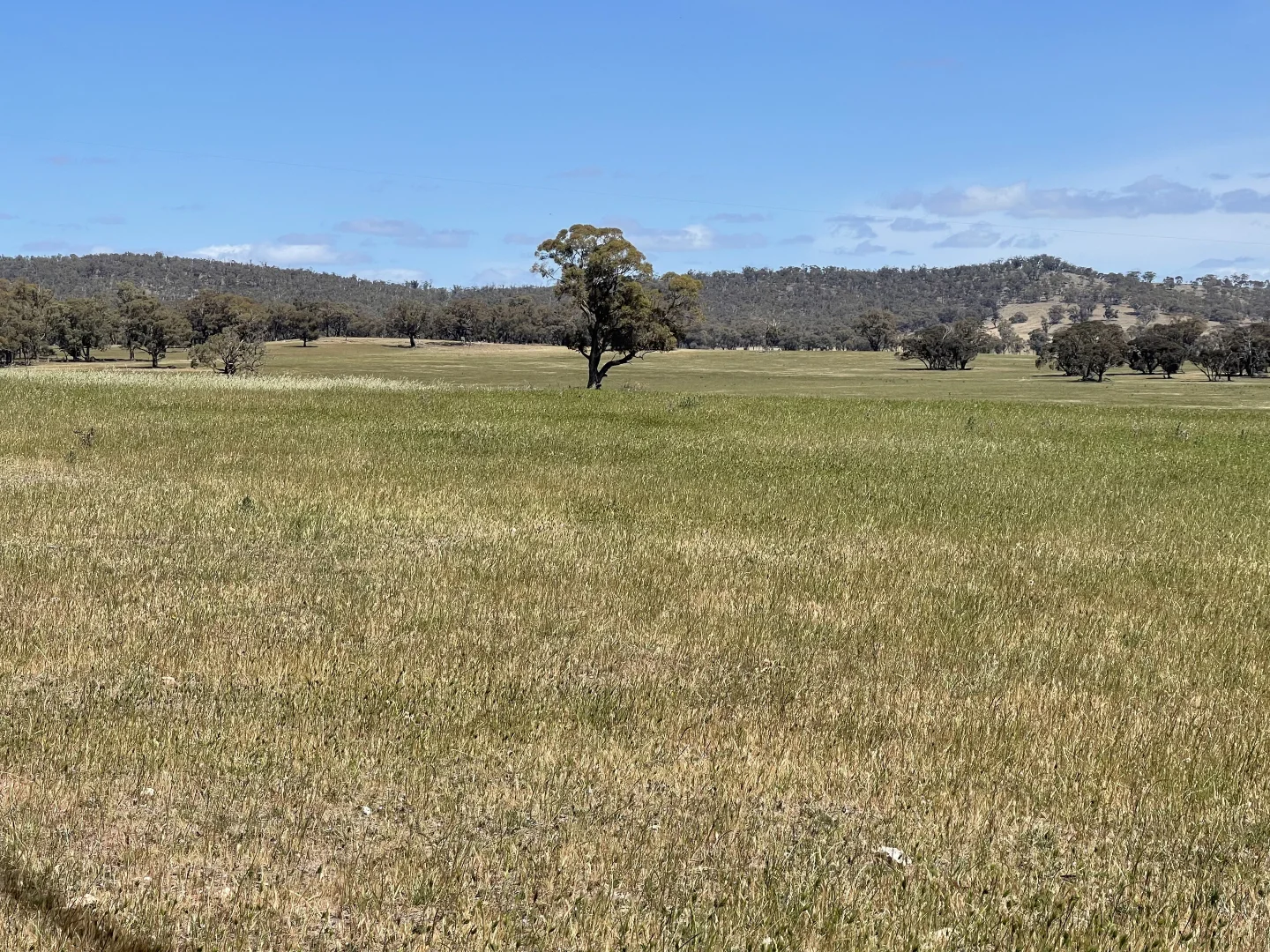 Additional image 14 of 0 Mathison Road, Gre Gre South VIC 3477