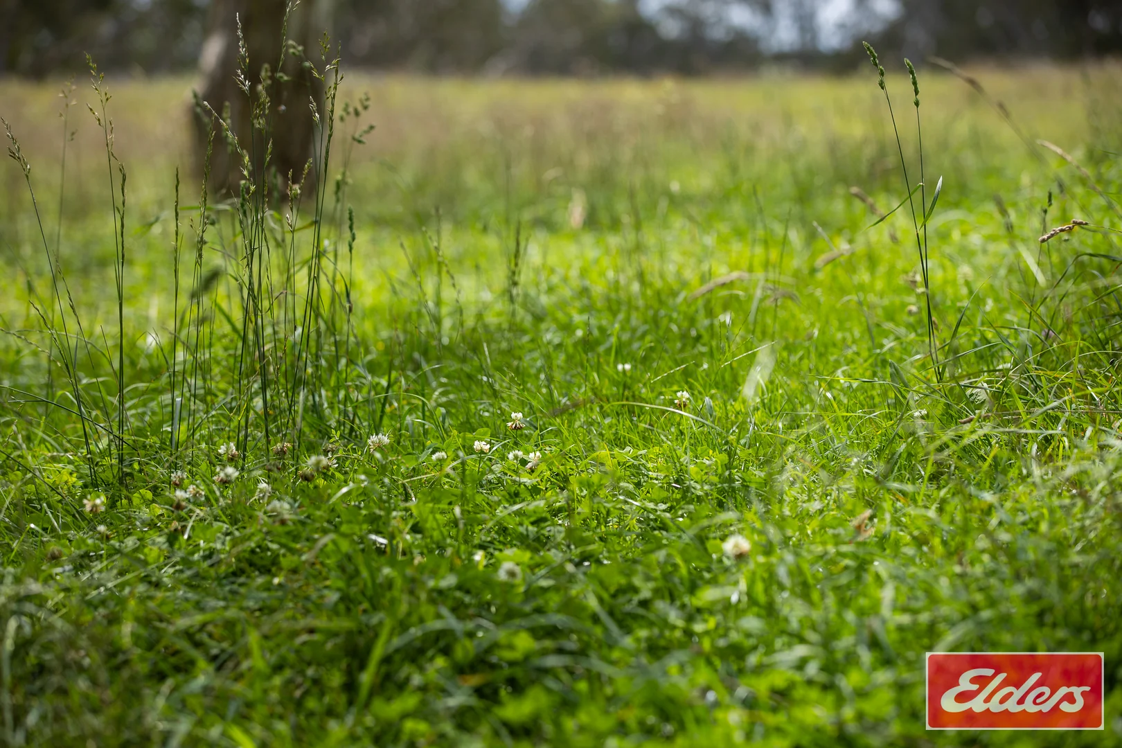 Additional image 17 of 72 Guyra Road, Ebor NSW 2453