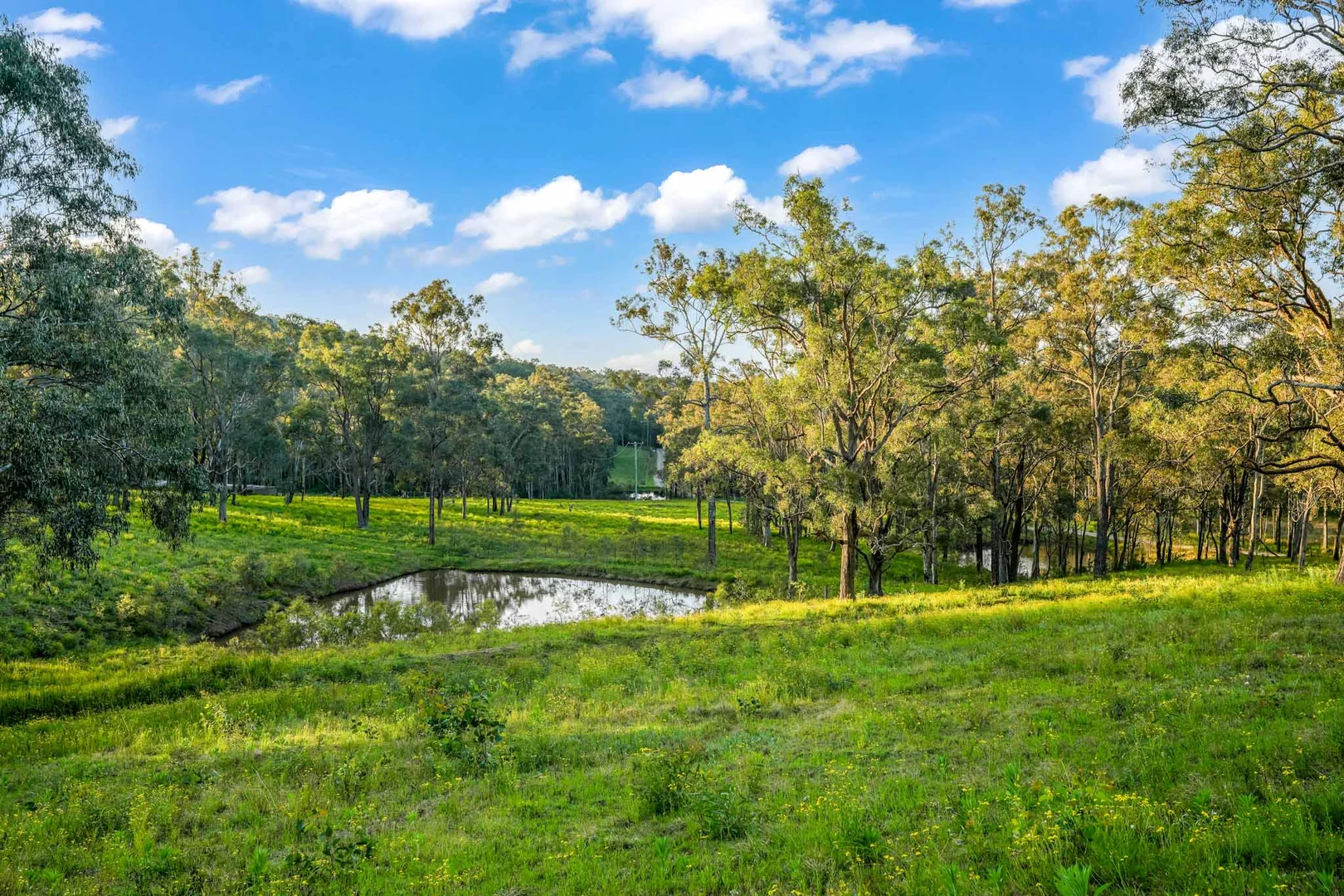 Additional image 15 of 200 Lindsay Road, North Rothbury NSW 2335